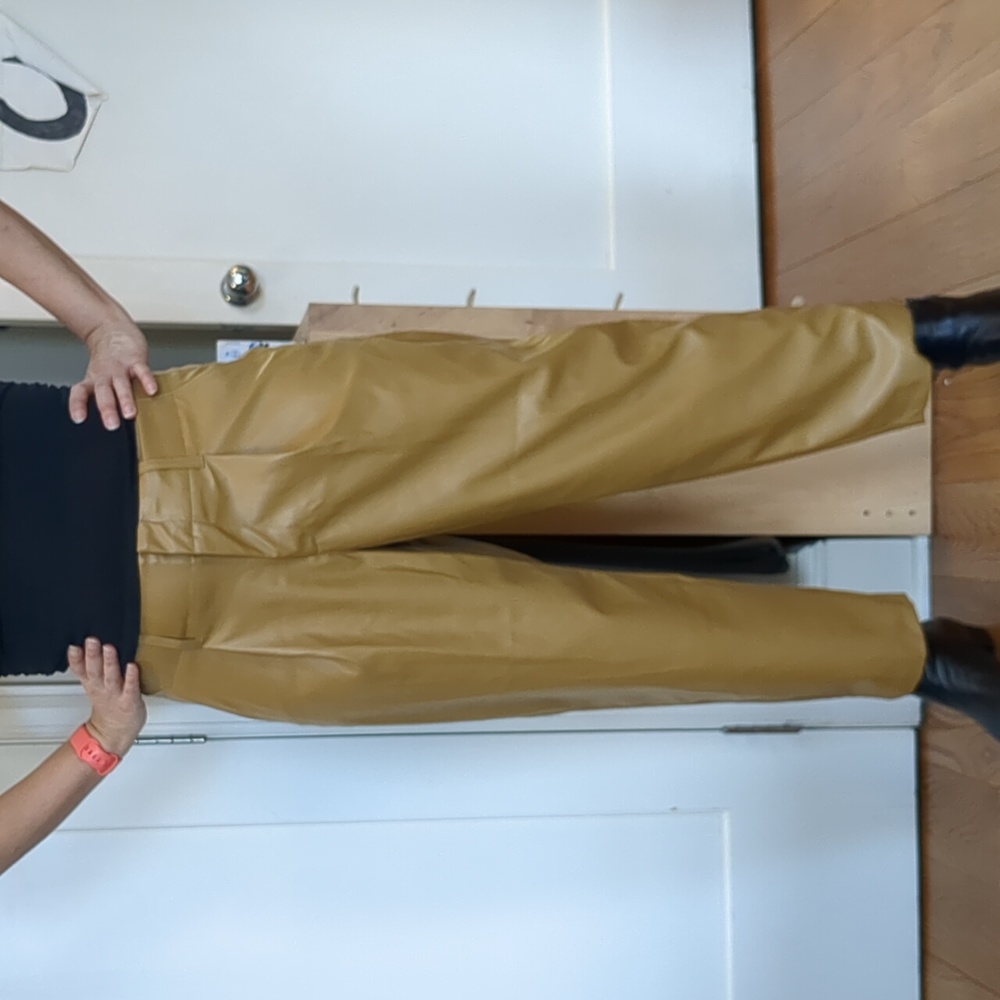 NWT Faux Leather Pants Beige Sz 12 - Picture 9 of 10